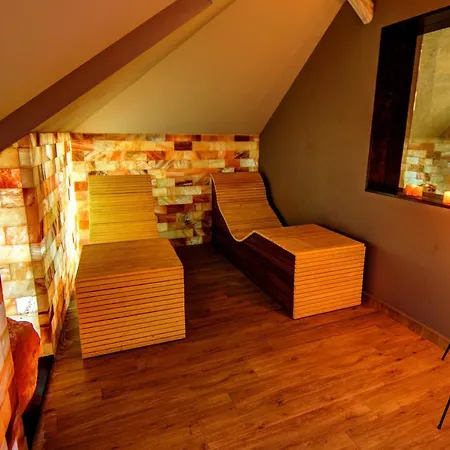 公寓 Marconio Wellness Club 贝尔格莱德